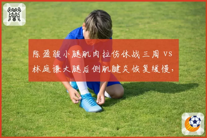 陈盈骏小腿肌肉拉伤休战三周 vs 林庭谦大腿后侧肌腱炎恢复缓慢,广州天津核心控卫差异