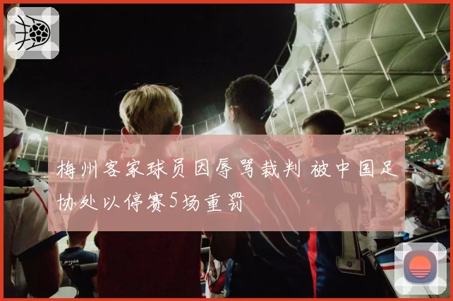 梅州客家球员因辱骂裁判 被中国足协处以停赛5场重罚