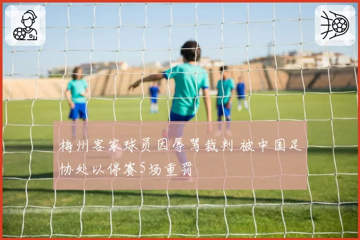 梅州客家球员因辱骂裁判 被中国足协处以停赛5场重罚